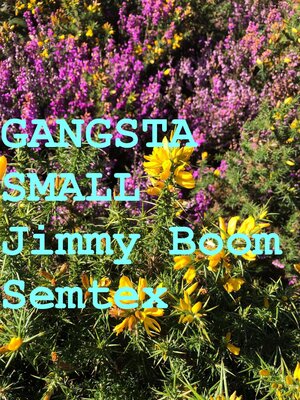 cover image of Gangsta Small